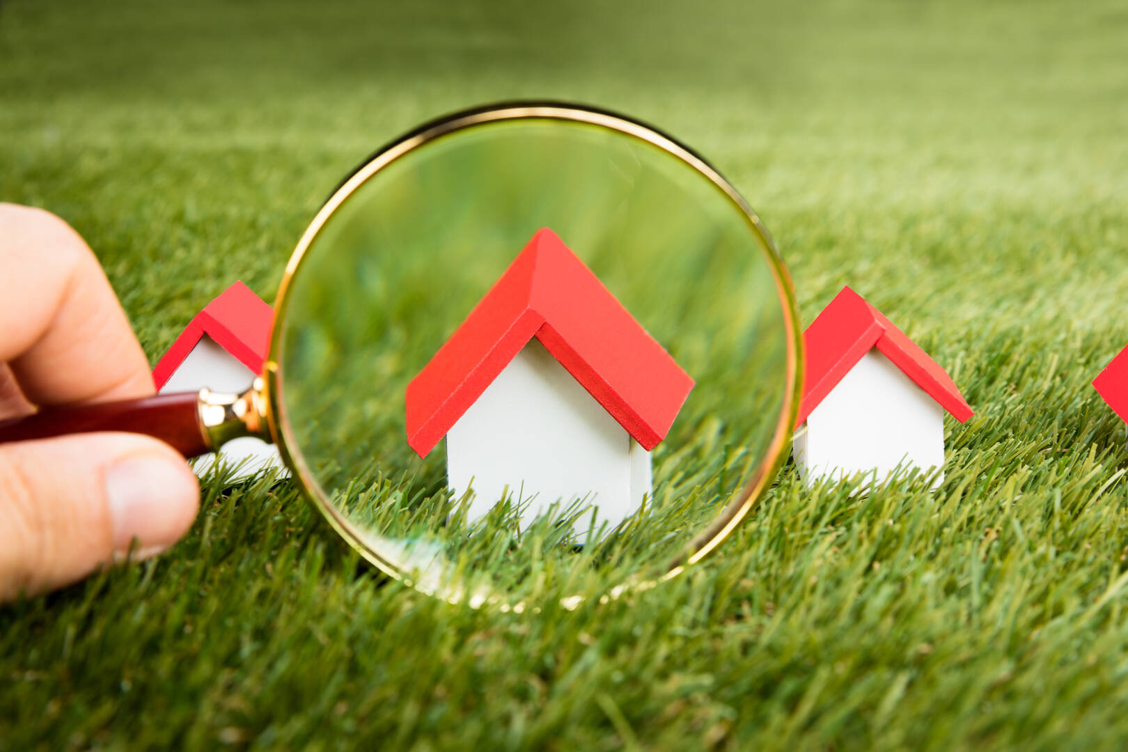 Haymore Real Estate LLC
