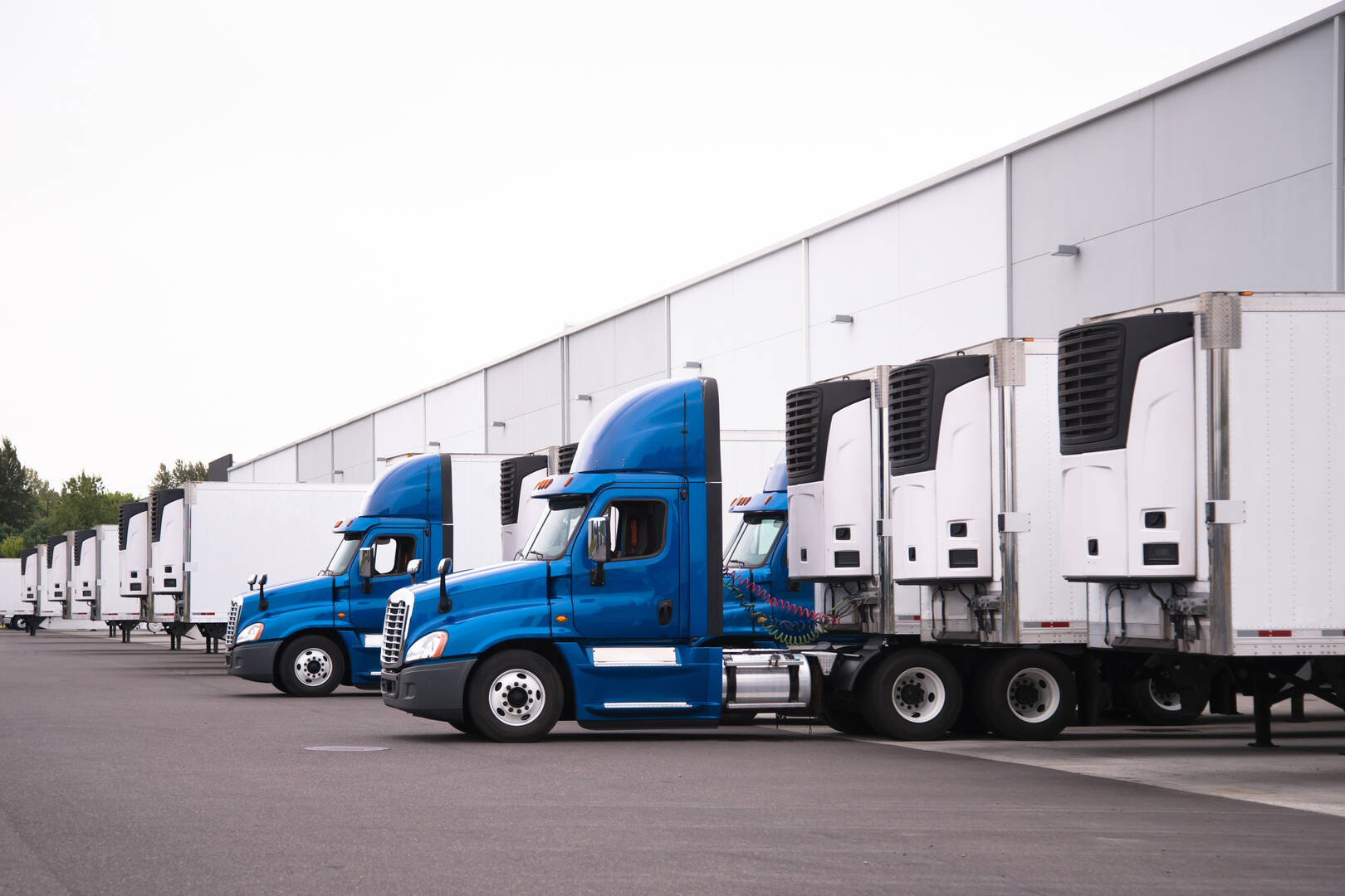 Elite Moving & Storage Inc